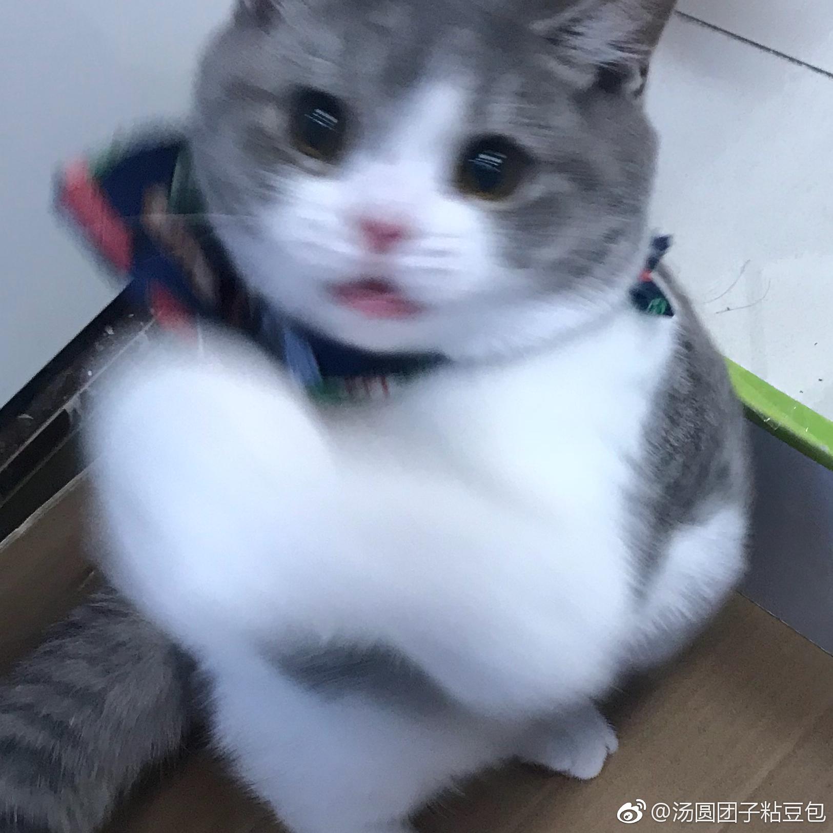 问道道可道论坛官网