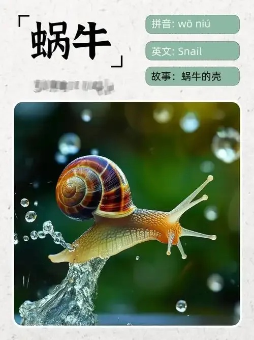 蜗牛科普纪:探索自然界的奇妙小生物