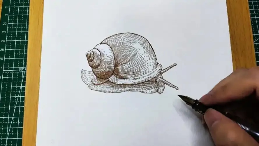 蜗牛透视辅助:全面解析与使用指南