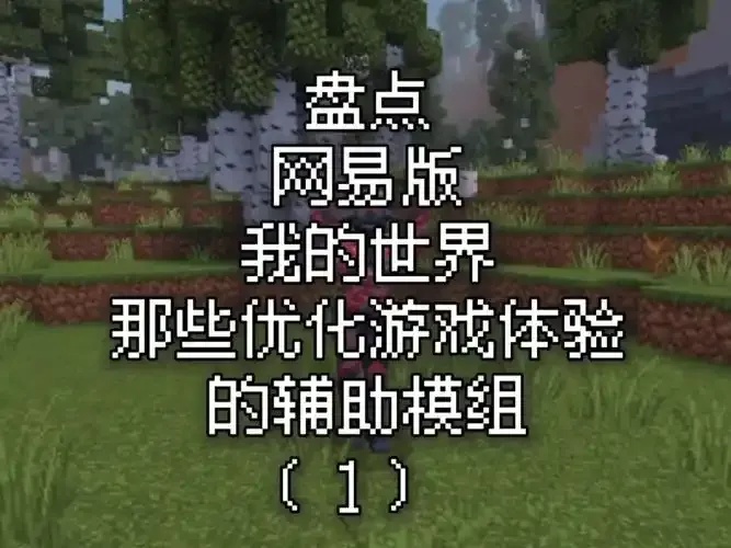 我的世界辅助工具大全,发卡网全解析与使用技巧!