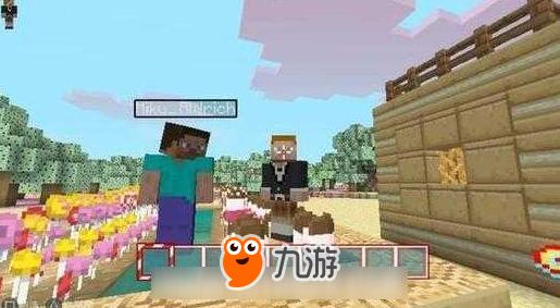我的世界挂件购买攻略2024最新必看