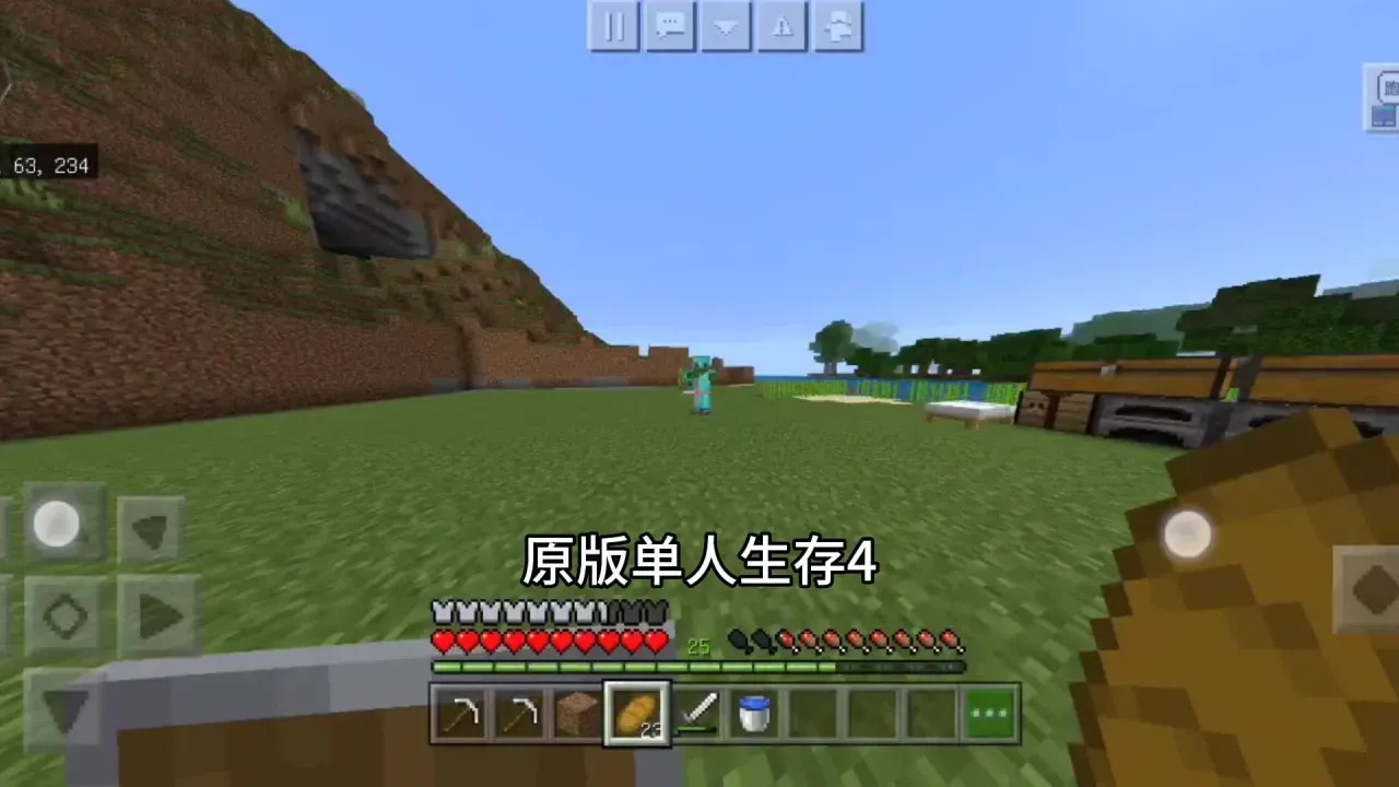 我的世界视频:创意玩法与实用技巧全集