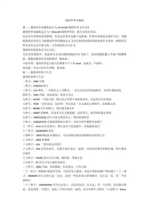 我的世界游戏简介
