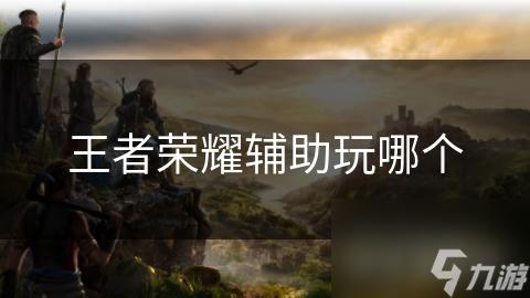 无二辅助网是什么?实用技巧与介绍