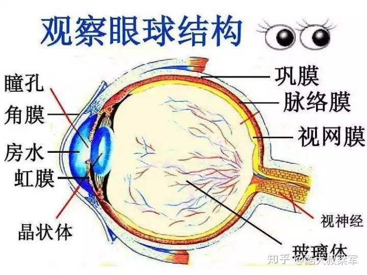 无畏契约bot辅助怎么用