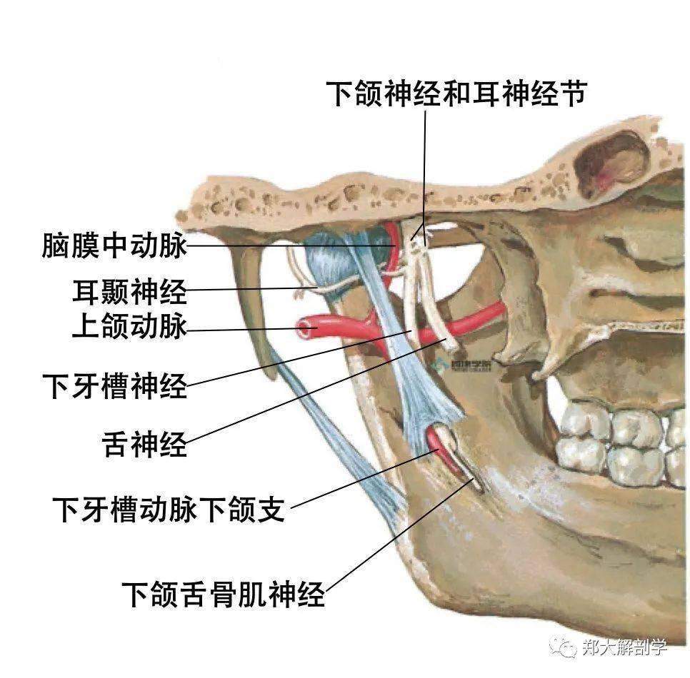 无畏契约代充攻略