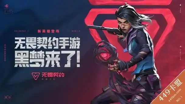 无畏契约卡盟辅助平台