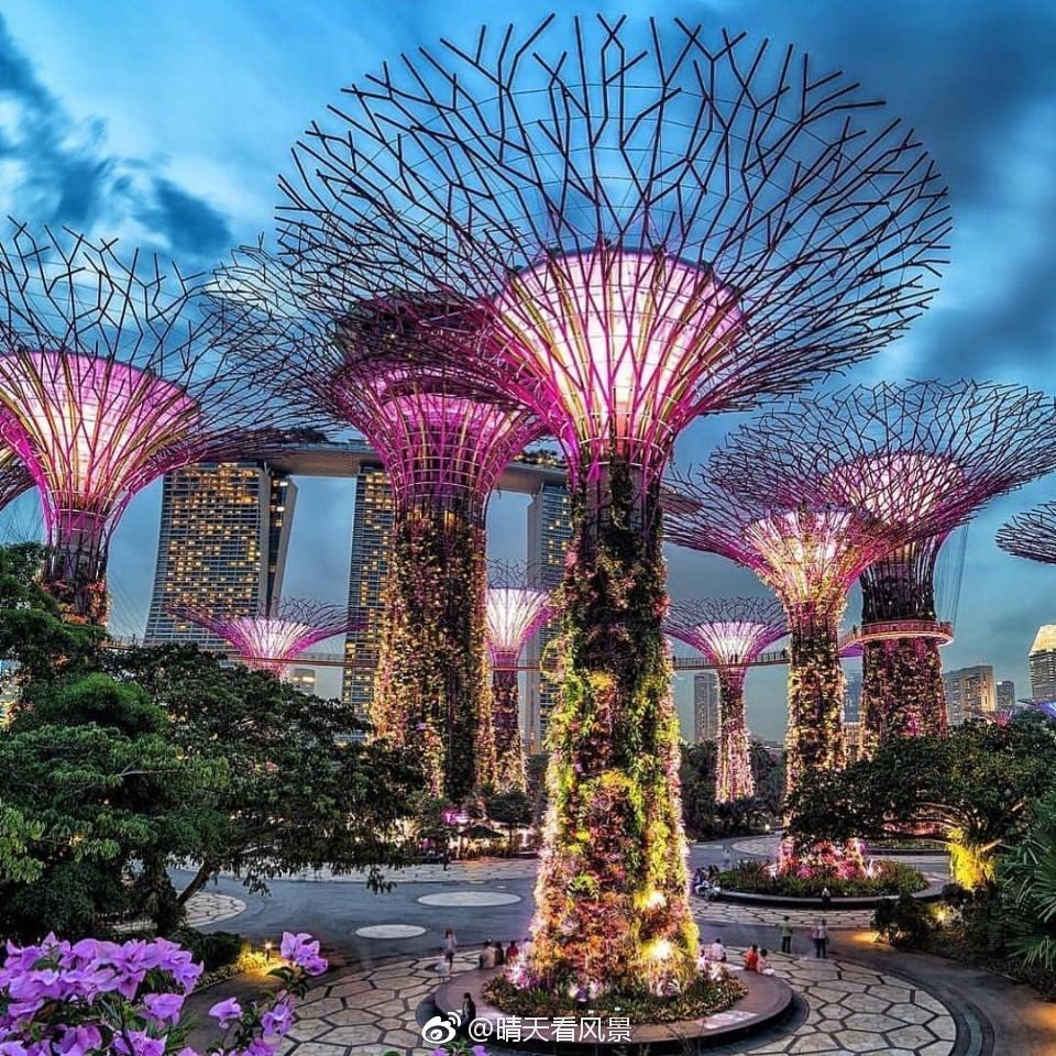 向僵尸开炮辅助脚本下载教程