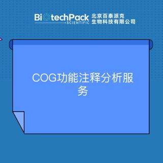 向僵尸开炮脚本免费