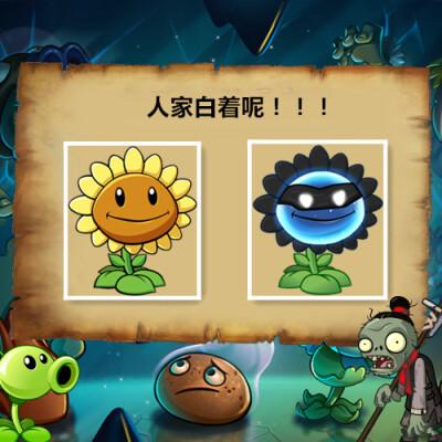 向僵尸开炮小视频,这些搞笑神操作你见过没?