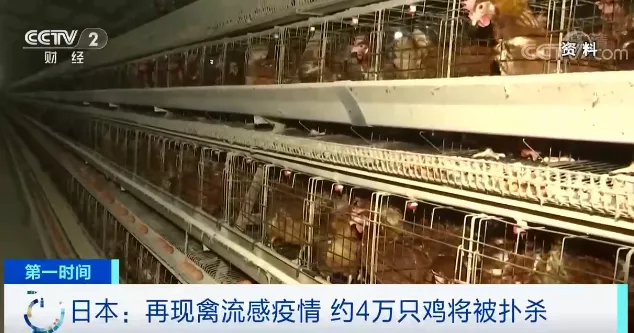 小米手机Root完全指南:详细步骤与注意事项