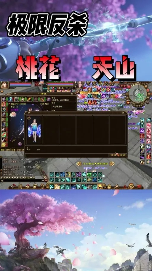 新天龙八部桃花岛辅助技能详解与加点攻略