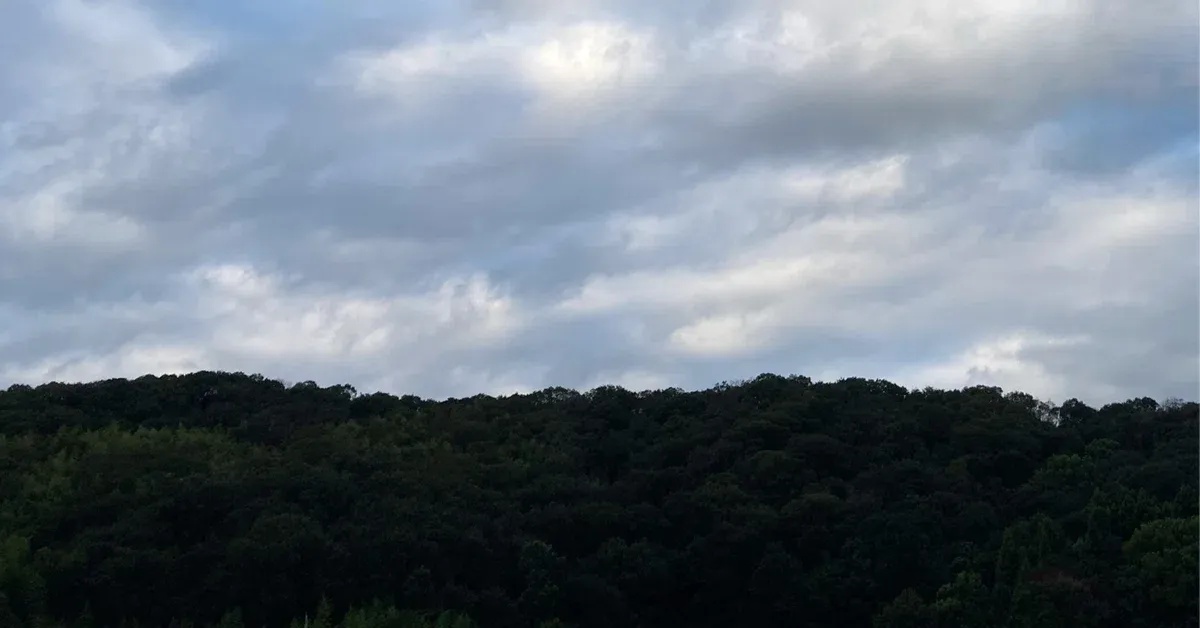 虚空之眼辅助出装:最强搭配指南解析