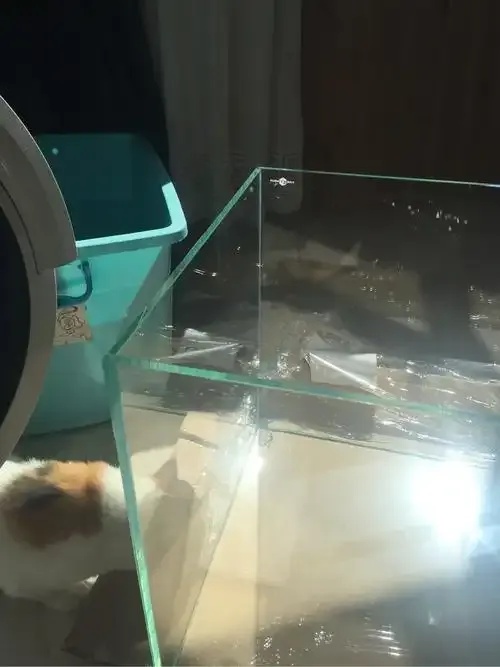 烟火科技的缸怎么样