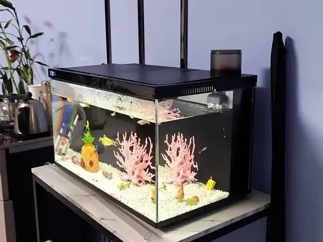 烟火科技鱼缸怎么样,值得入手吗?