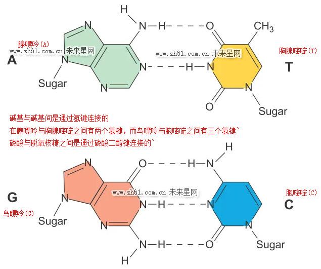 一念逍遥辅助什么时候开启:最新上线时间指南