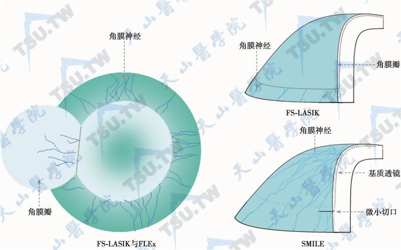 一念逍遥官网入口怎么进?