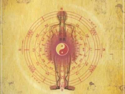 阴阳师辅助式神排行2025
