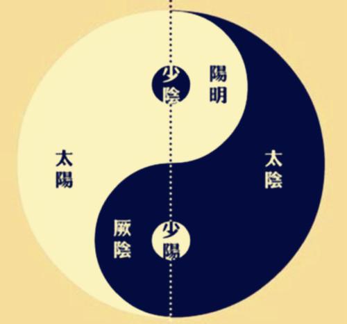 阴阳师科技号解析:含义与功能全解