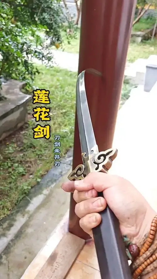 阴阳眼VS莲花剑意:哪个能力更强?