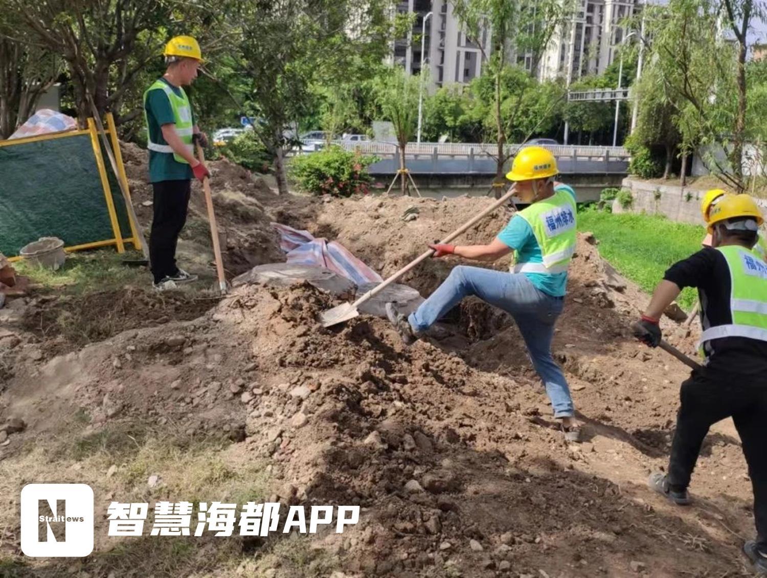 三角洲科技群解析与未来趋势展望