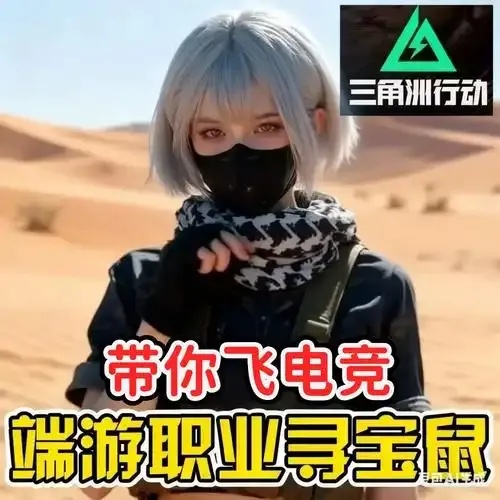 三角洲行动网页雷达揭秘:全解析