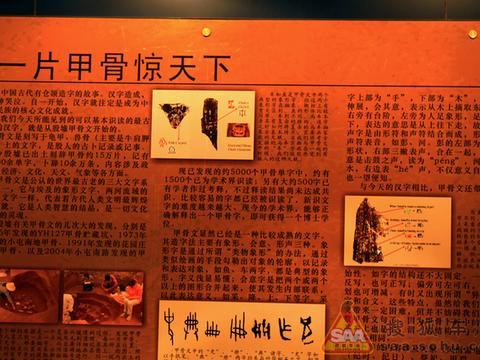 少女前线辅助角色排行TOP推荐完整版