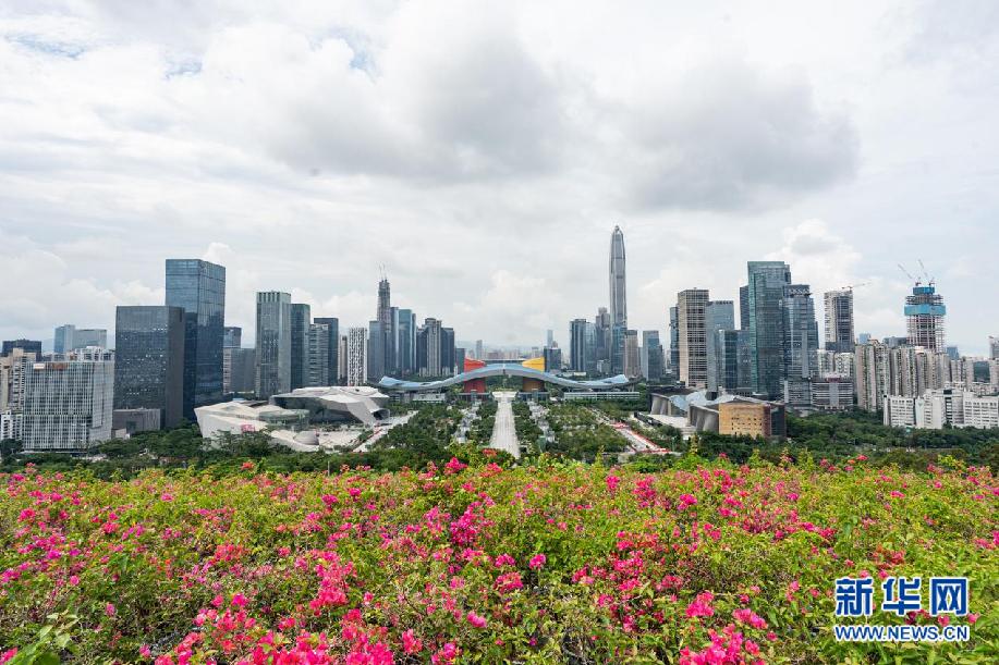深圳市人间烟火科技