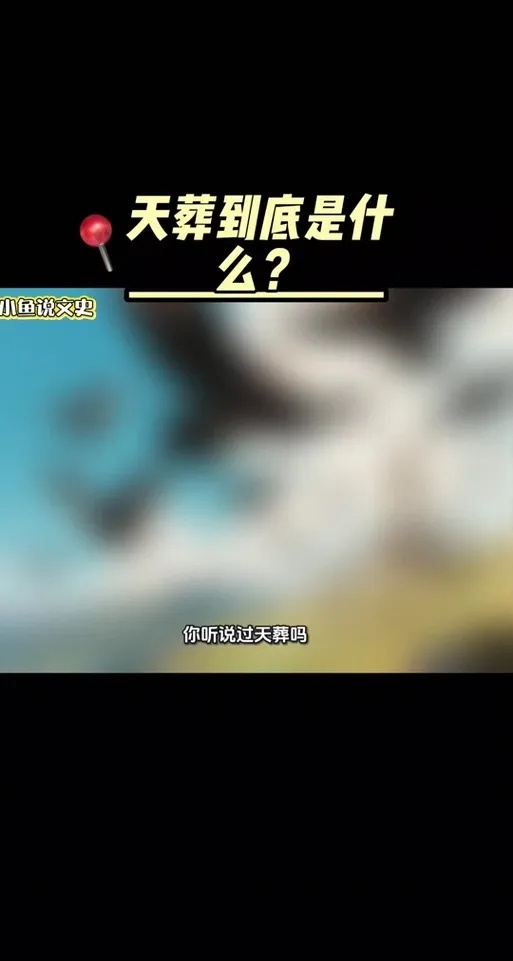 什么软件?这款DY直装版61正式版免费下载