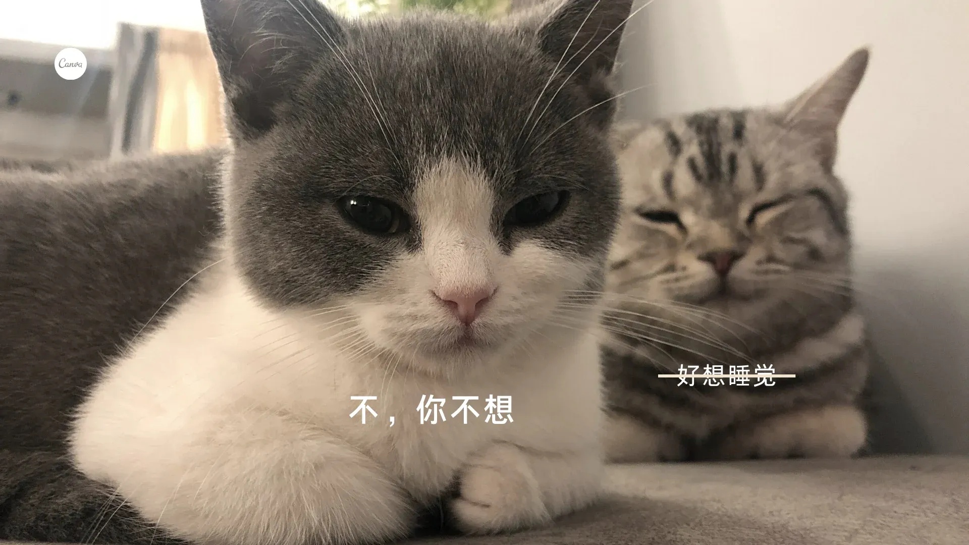 失控的进化》探讨深度思考