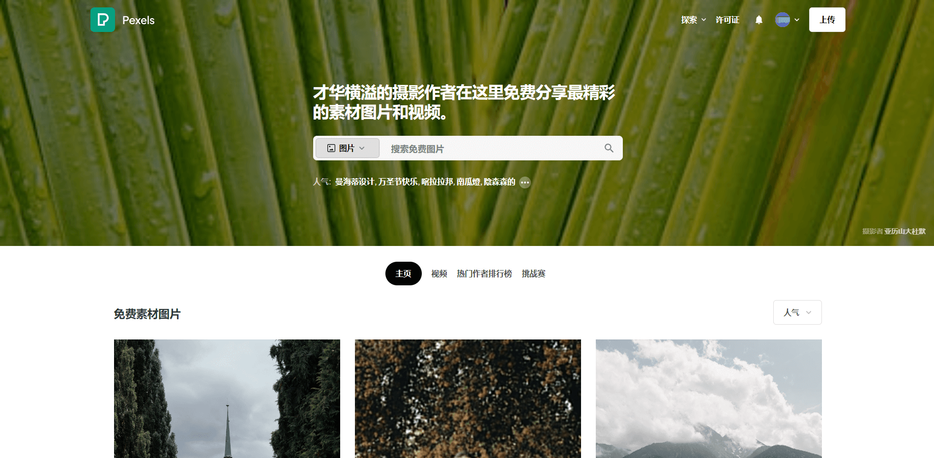 失控进化》直装授权登录详细方法指南