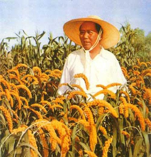 失控进化辅助卡网全解析