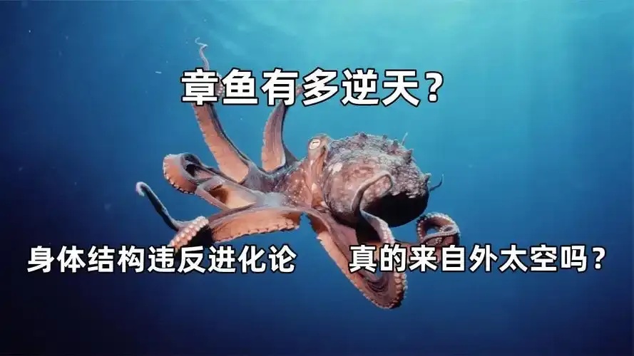 失控进化公益内核全解析