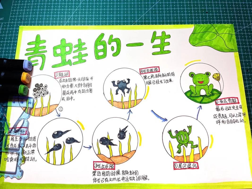食物语外服是什么?玩法攻略全解析!