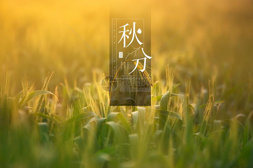 使命召唤手游透视辅助工具使用攻略