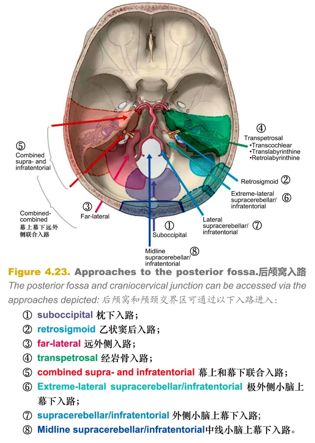 曙光英雄辅助修改器工具