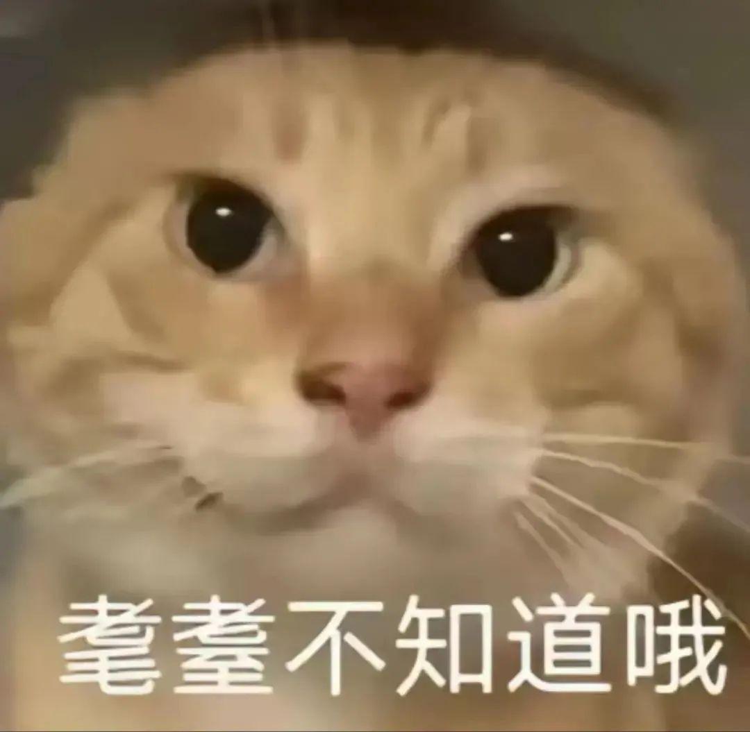 曙光英雄开挂教学,教你如何在游戏中轻松获胜