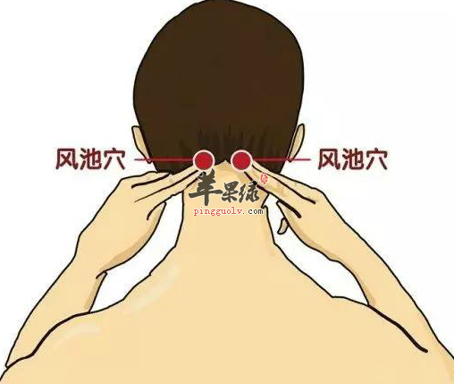 曙光英雄透视代码终极秘籍与使用技巧