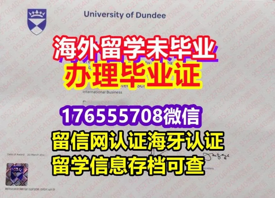 太空杀凤凰辅助怎么用?新手必看攻略!