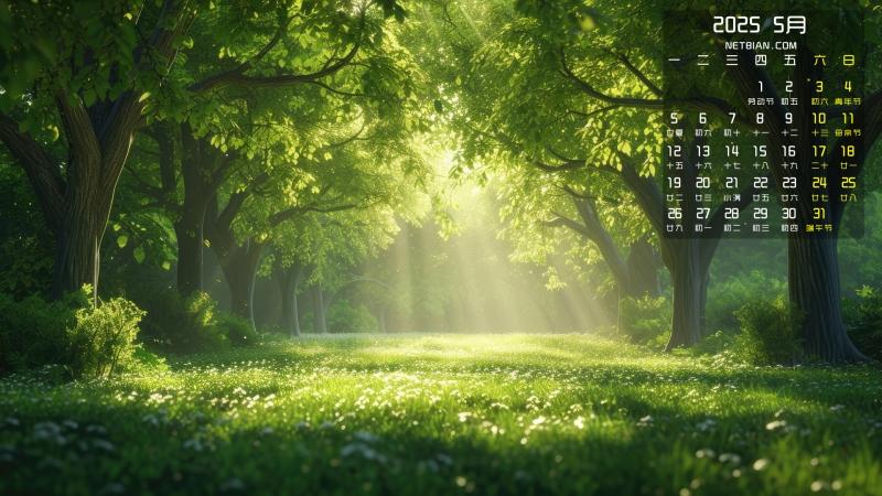 太空行动辅助装置揭秘:探索未知领域的关键技术