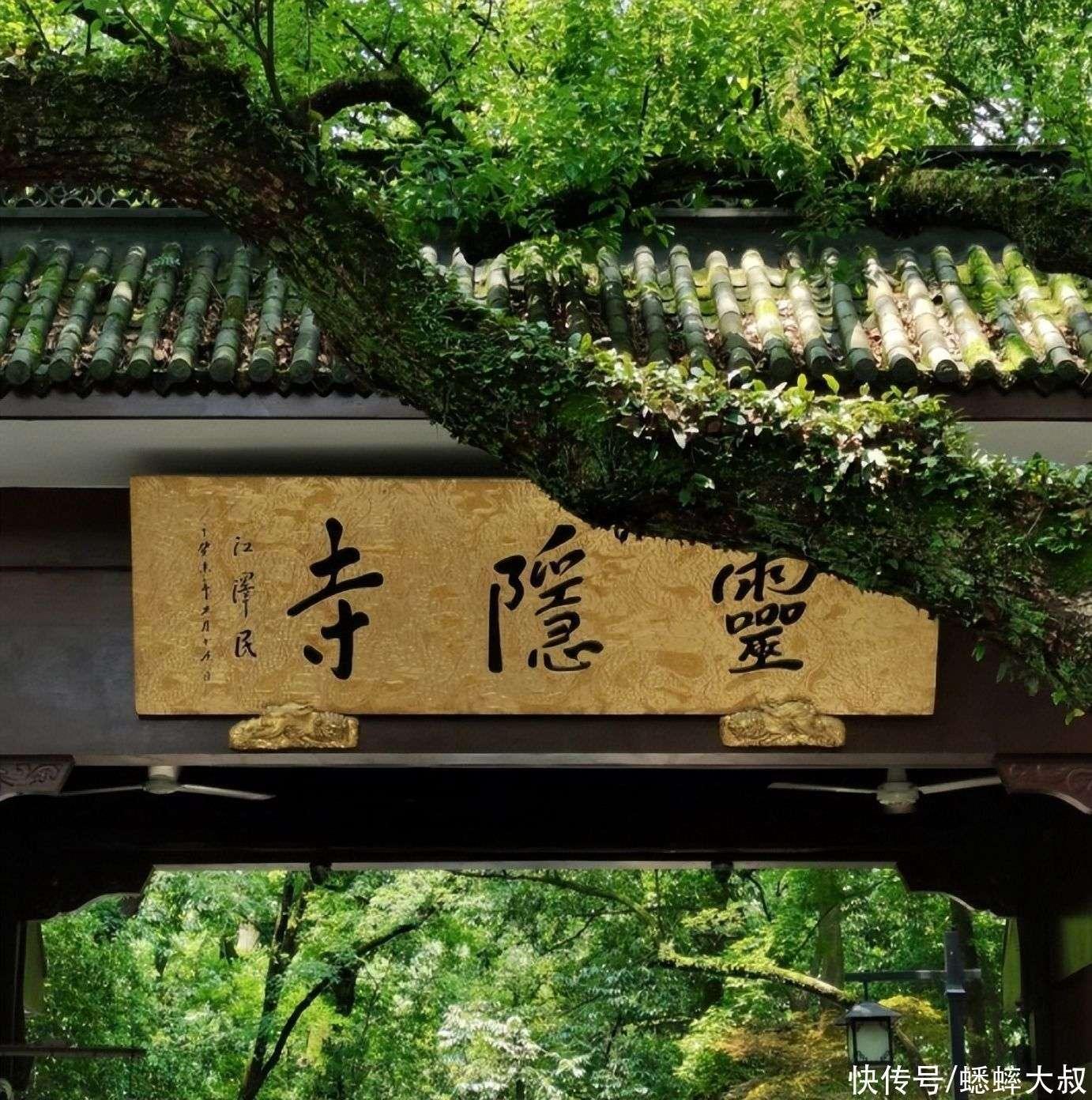 太空行动外挂直装攻略技巧,轻松上手游戏指南