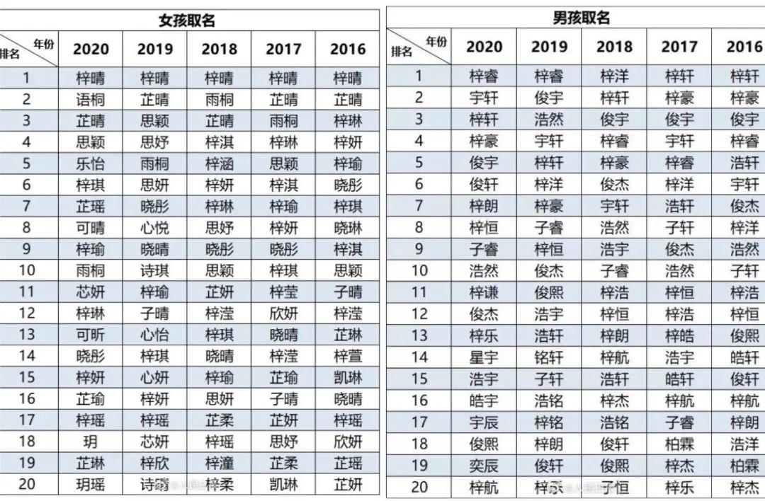 泰拉瑞亚电脑版外挂工具下载破解版