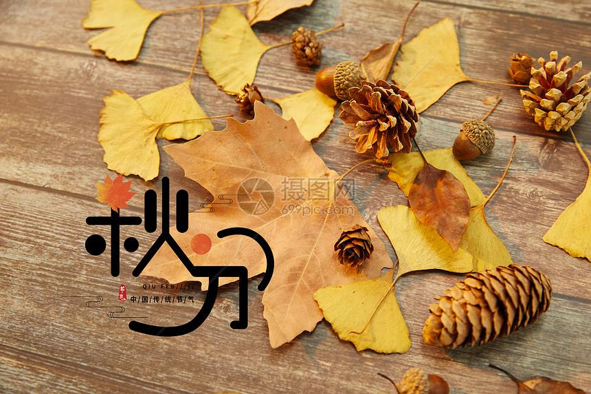 泰拉瑞亚灾厄辅助