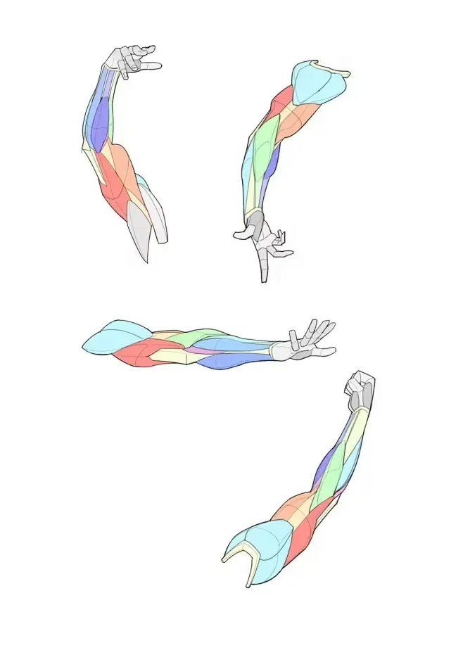 贪吃蛇大作战探测行动