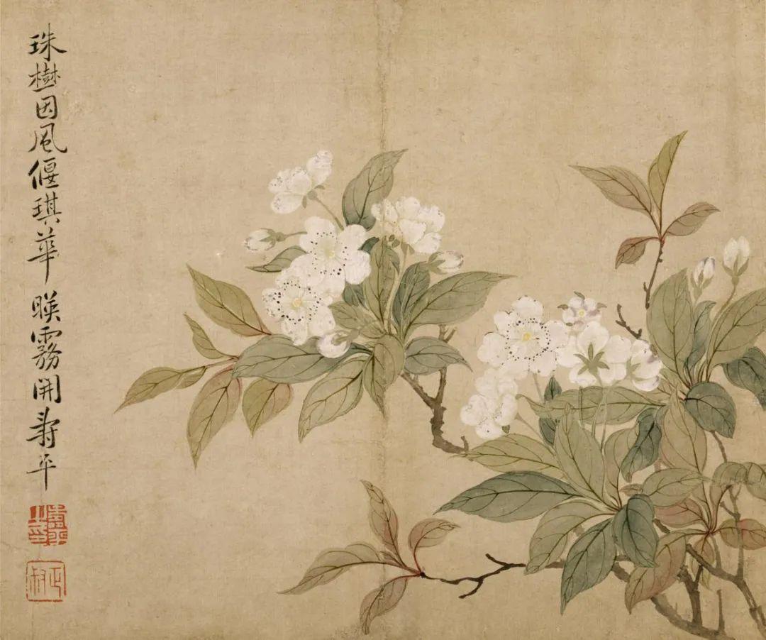 贪吃蛇大作战助手实用指南:快速上手与技巧