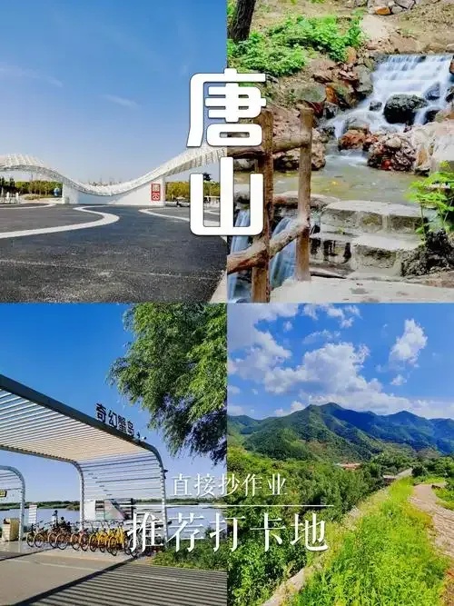 探索唐山卡盟背后的本地化运营