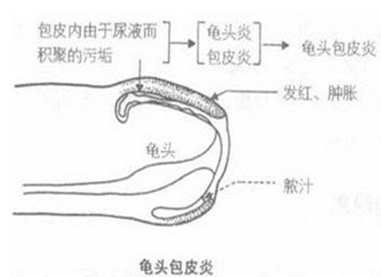iOS免越狱下载指南