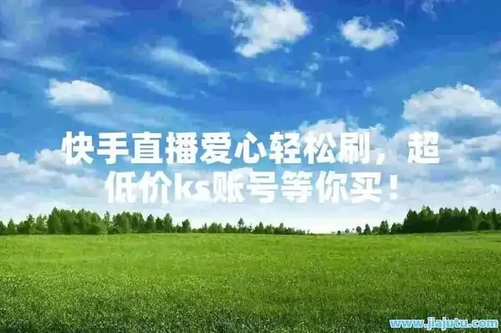 KS业务下单平台怎么样?超低价优势解析!