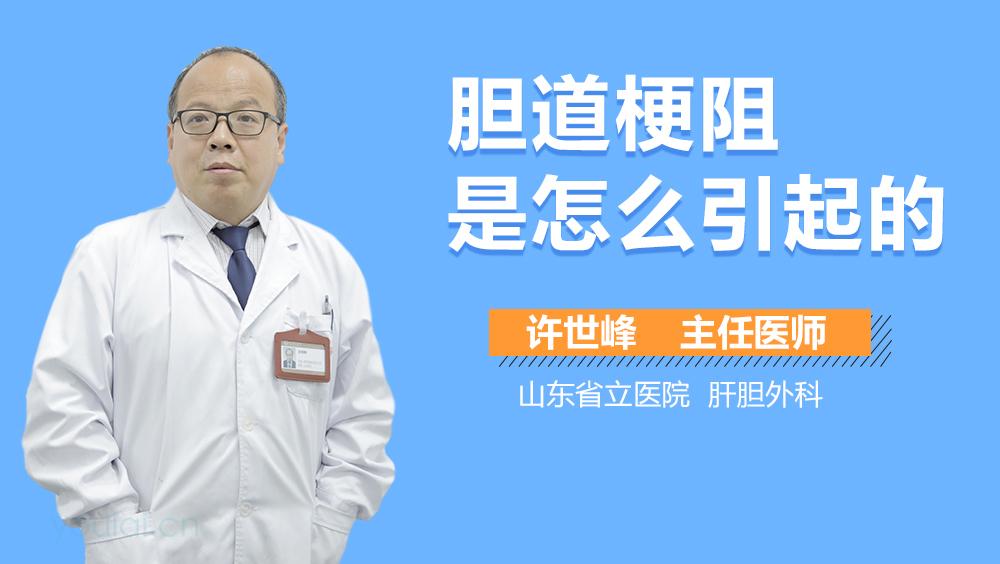 mc我的世界科技末地石