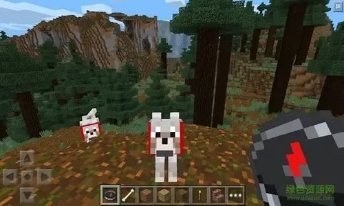 Minecraft内购破解:震惊!玩家揭露的隐藏漏洞
